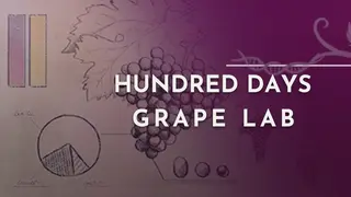 Hundred Days - Grape Lab