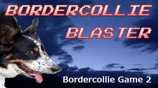BorderCollie Blaster