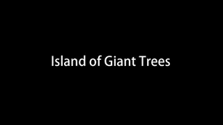 Island of Giant Trees