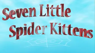 Seven Little Spider Kittens