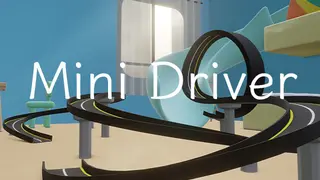 Mini Driver