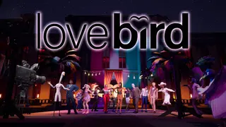Love Bird