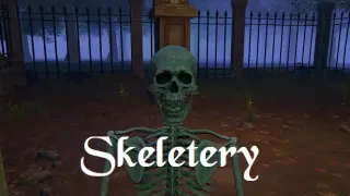 Skeletery