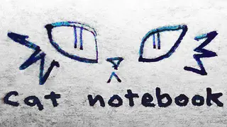 cat notebook