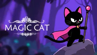 Magic Cat