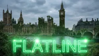 FLATLINE: Pay to Feel