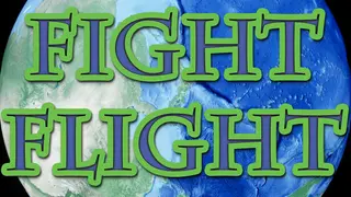 Fight Flight