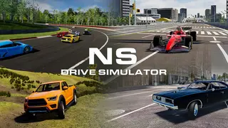 NS Drive Simulator