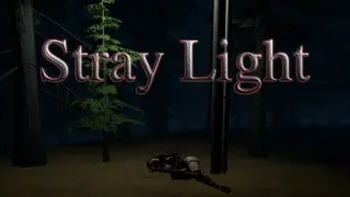 Stray Light