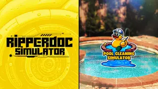 Ripperdoc Simulator and Pool Cleaning