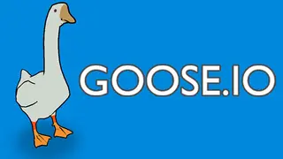 GOOSE.IO