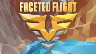 Faceted Flight