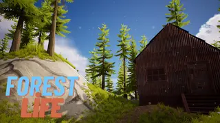 Forest Life