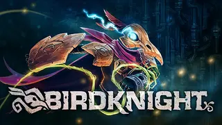 BirdKnight