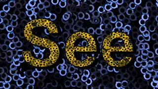 See
