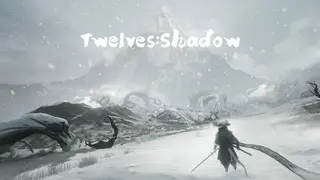 Twelves:Shadow