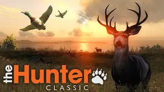 theHunter Classic