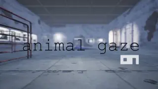 Animal Gaze on-XR