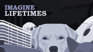 Imagine Lifetimes