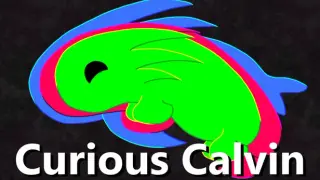 Curious Calvin