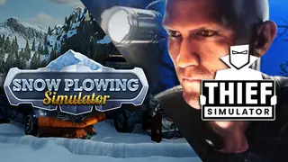 Thief and Snow Plowing