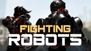 Fighting Robots