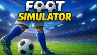 Foot Simulator