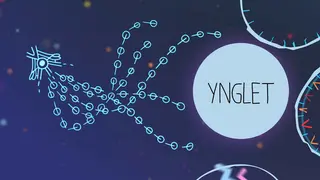 Ynglet