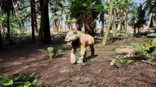 Panthera Tigris