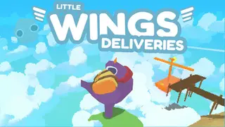 Little Wings Deliveries