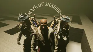 Maze Of Shadows