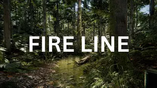 FireLine