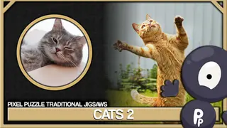 Pixel Puzzles Traditional Jigsaws Pack: Cats 2