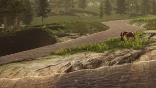 My Horse: Bonded Spirits - Xbox Series