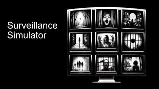 Surveillance Simulator