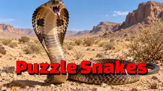 Puzzle Snakes