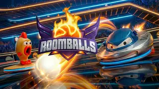 Roomballs