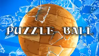 Puzzle Ball