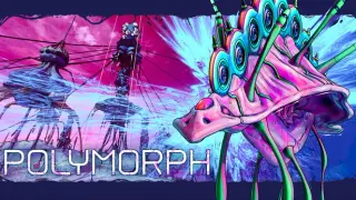 POLYMORPH