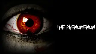 The Phenomenon