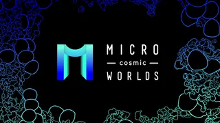 Micro Cosmic Worlds