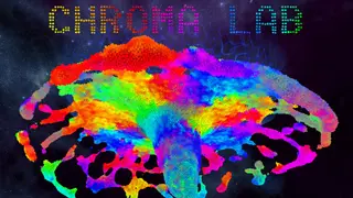 Chroma Lab