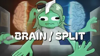 Brain/Split