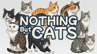 Nothing But Cats