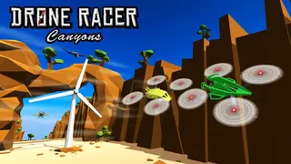 Drone Racer: Canyons