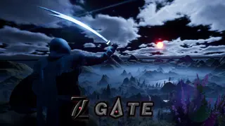 7.7 Gate