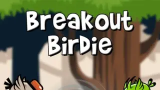 Breakout Birdie - Switch