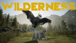 Wilderness