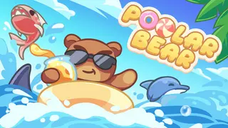 Poolar Bear