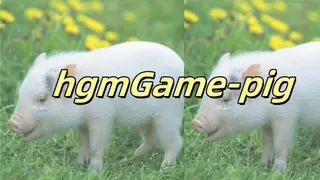 hgmGame-pig